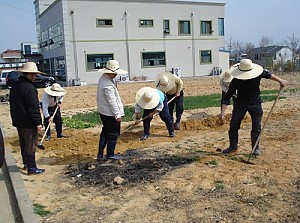직업준비반 농사체험
