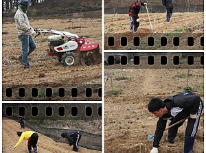 농사활동 - 농사용밭 이랑만들기