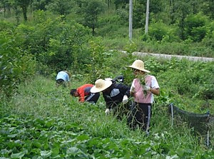 센터에서는 지적장애인을 대상으로 세탁기 사용훈련을 실시하였습니다.