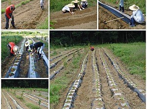 직업준비반 농사체험