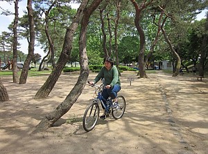 도움반 자전거 배우는 날