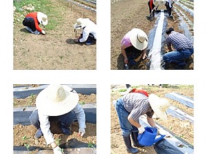 직업준비반 농사체험