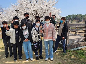 해냄반 벗꽃 나들이