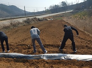 자립반 농사활동