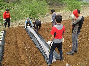 자립반 농사체험