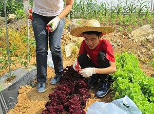 자립반 농사체험 실시