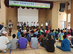 1박2일 자연치유 숲속 탐험