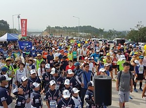영천 on the highway 마라톤대회 참가